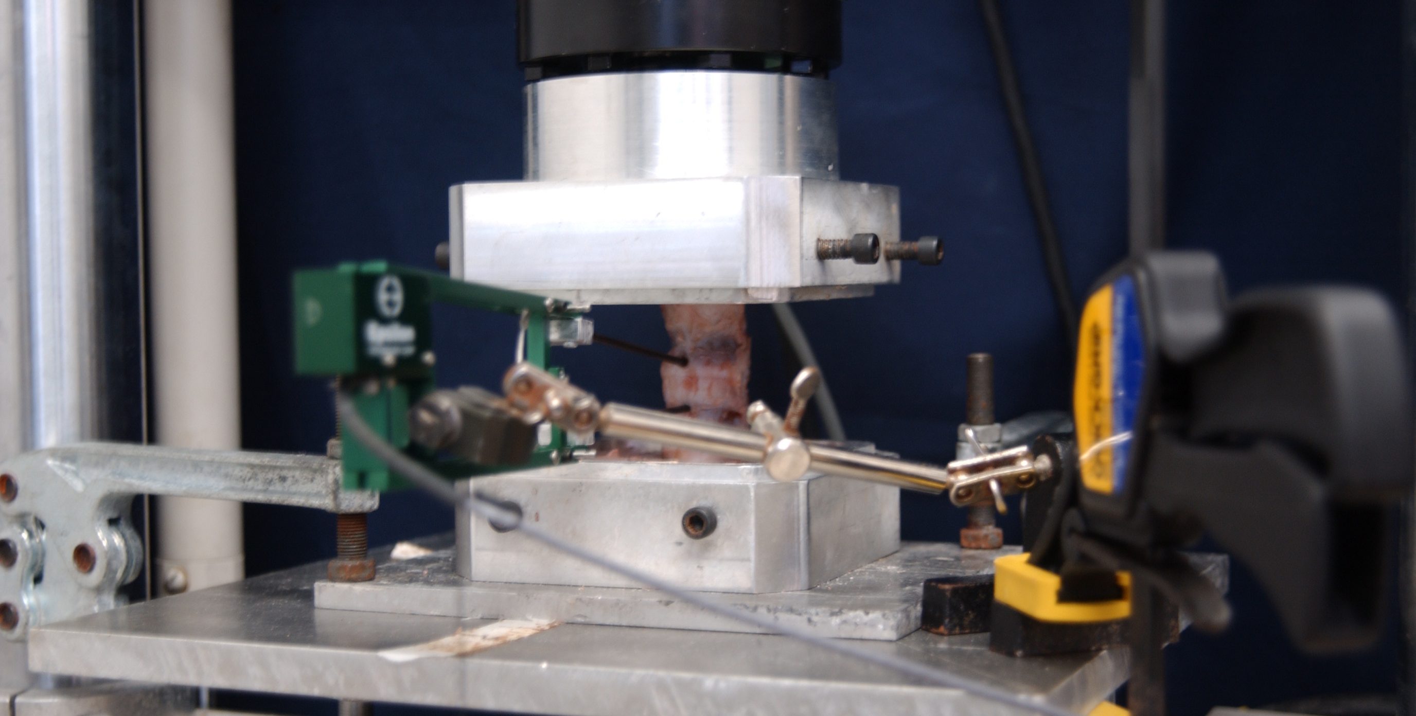 Image of facility machines testing bone density and strength