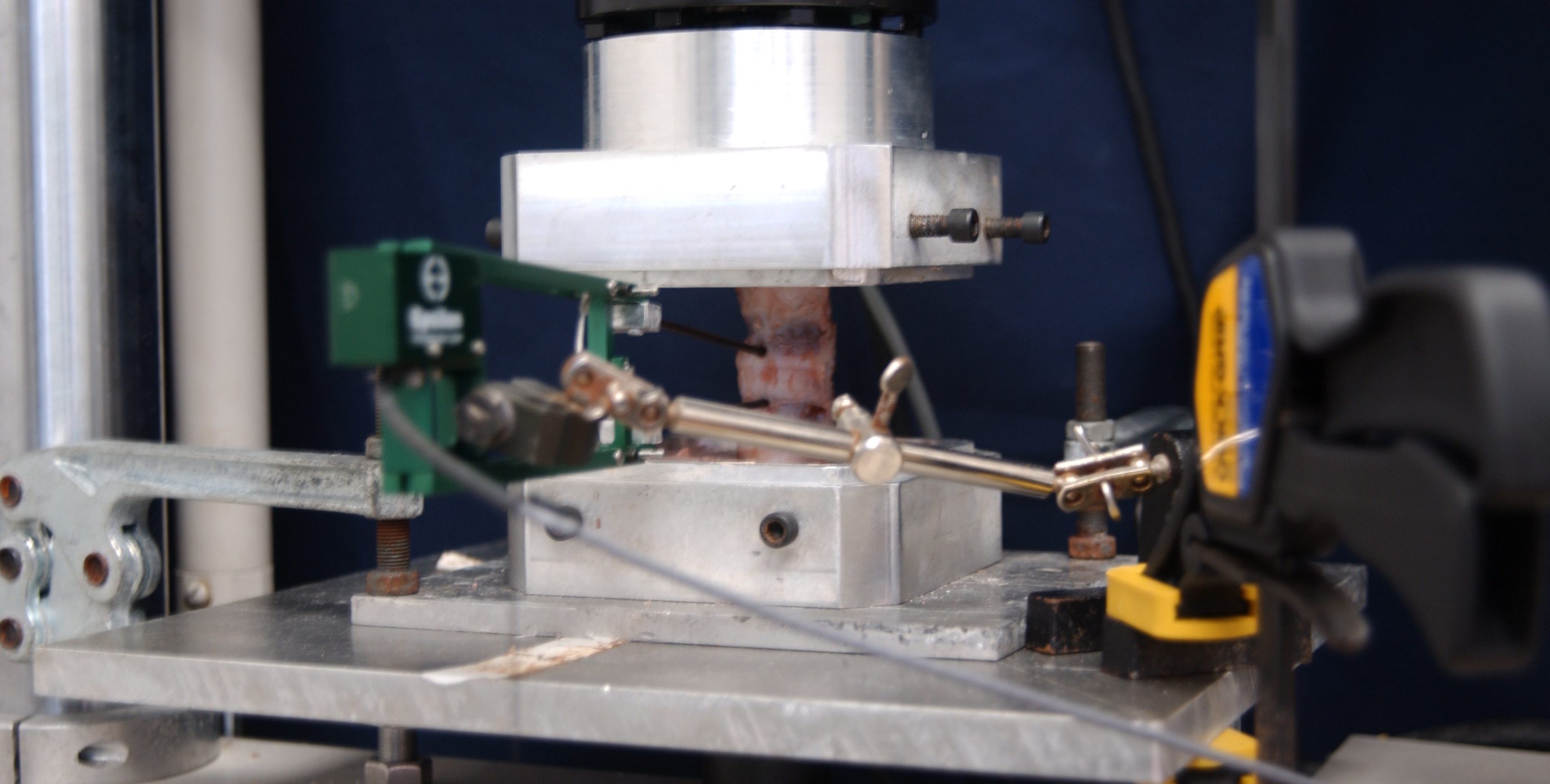 Comparative Orthopaedics Biomechanics Laboratory 1 Comparative Orthopaedics Biomechanics Laboratory